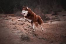 Julie ROUX - JULIE ROUX PHOTOGRAPHE