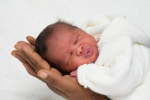 Amandine LAMRI - LAMRI